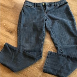 The Limited Denim Jeans